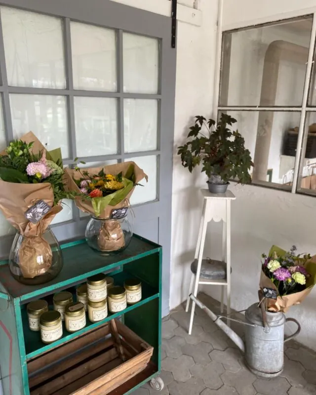 Gårdbutikkens rum med planter og brugskunst