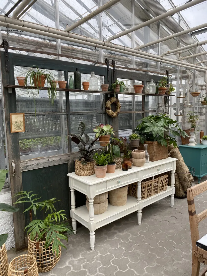 Planter og potter i Fredensfryds drivhus