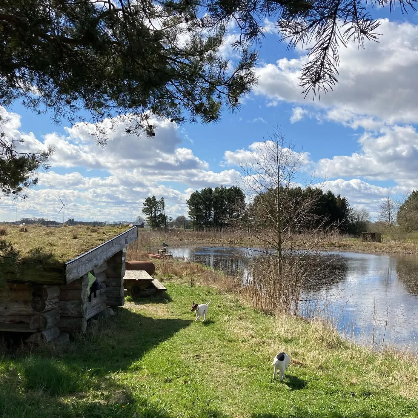 Søen ved Lille Østergård