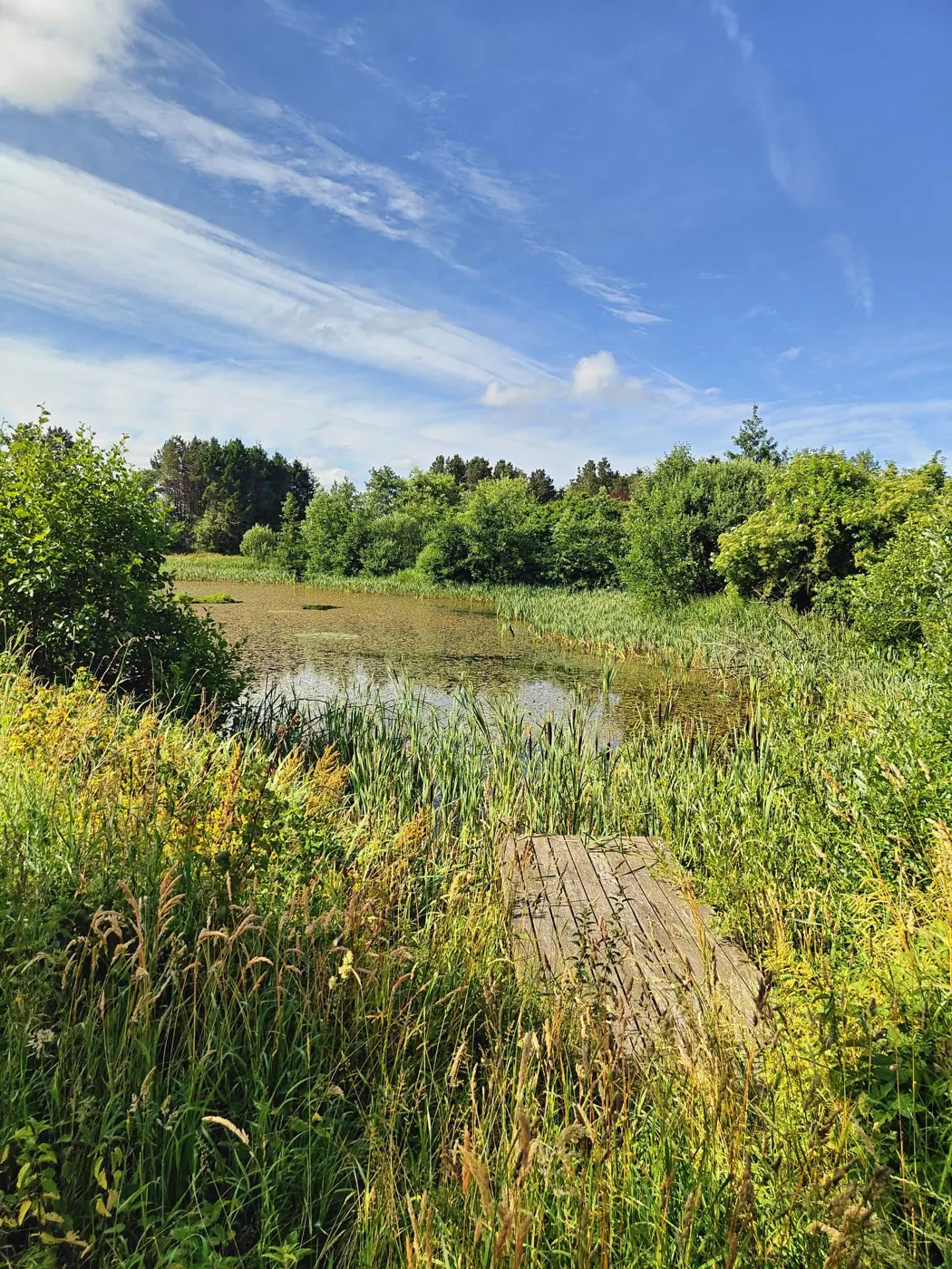 Sø og natur på Lille Østergård